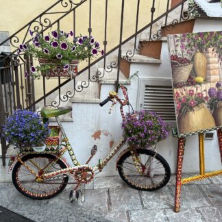 INSTANTS PRECIEUX "FETES DES MERES"