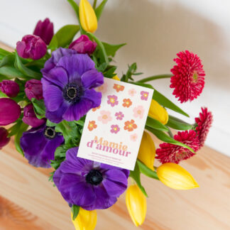 Graine "Mamie d'Amour" Pensées Sauvage